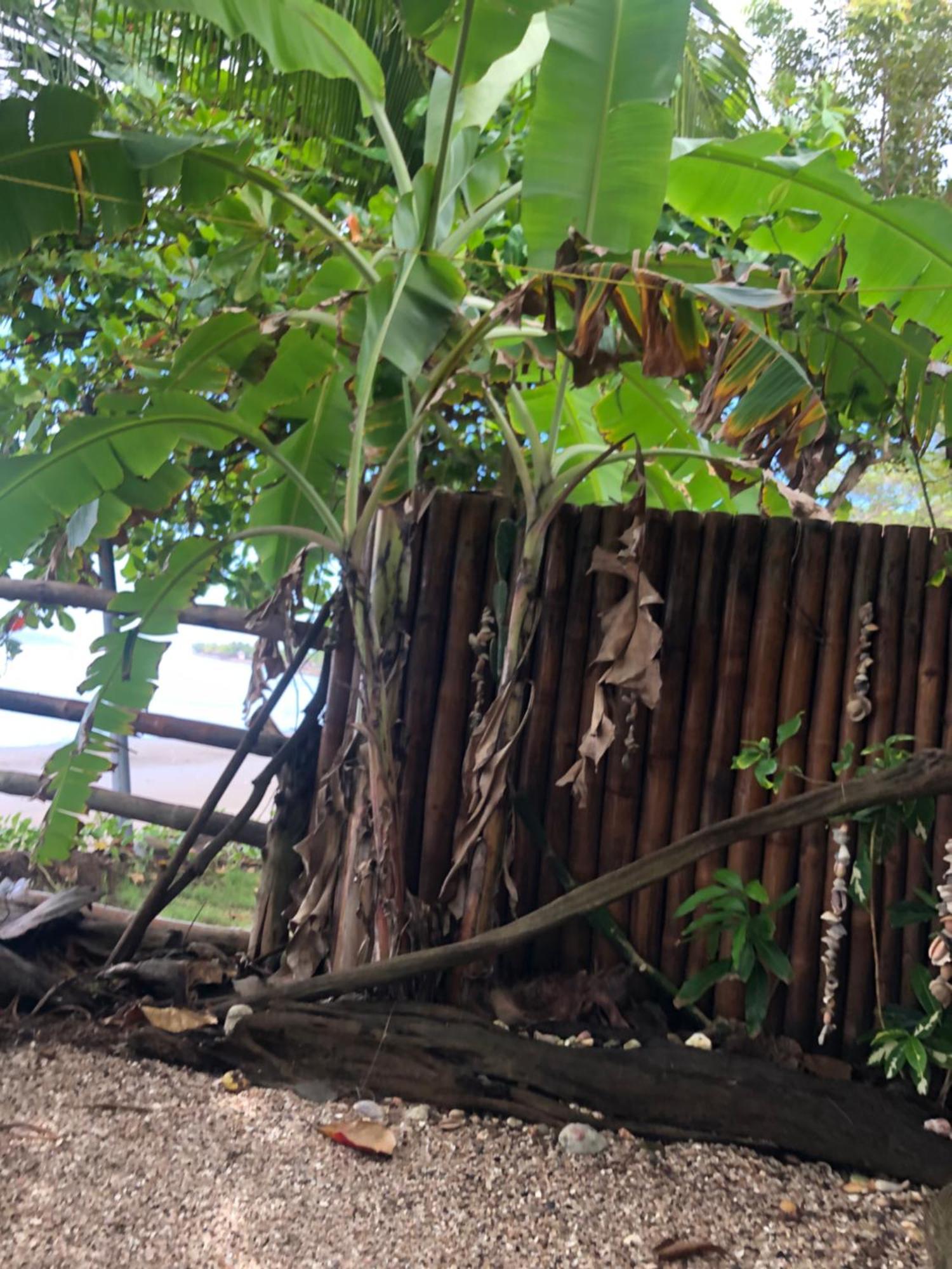 El Marabu Chill'N Surf Bed & Breakfast Aposentillo Bagian luar foto