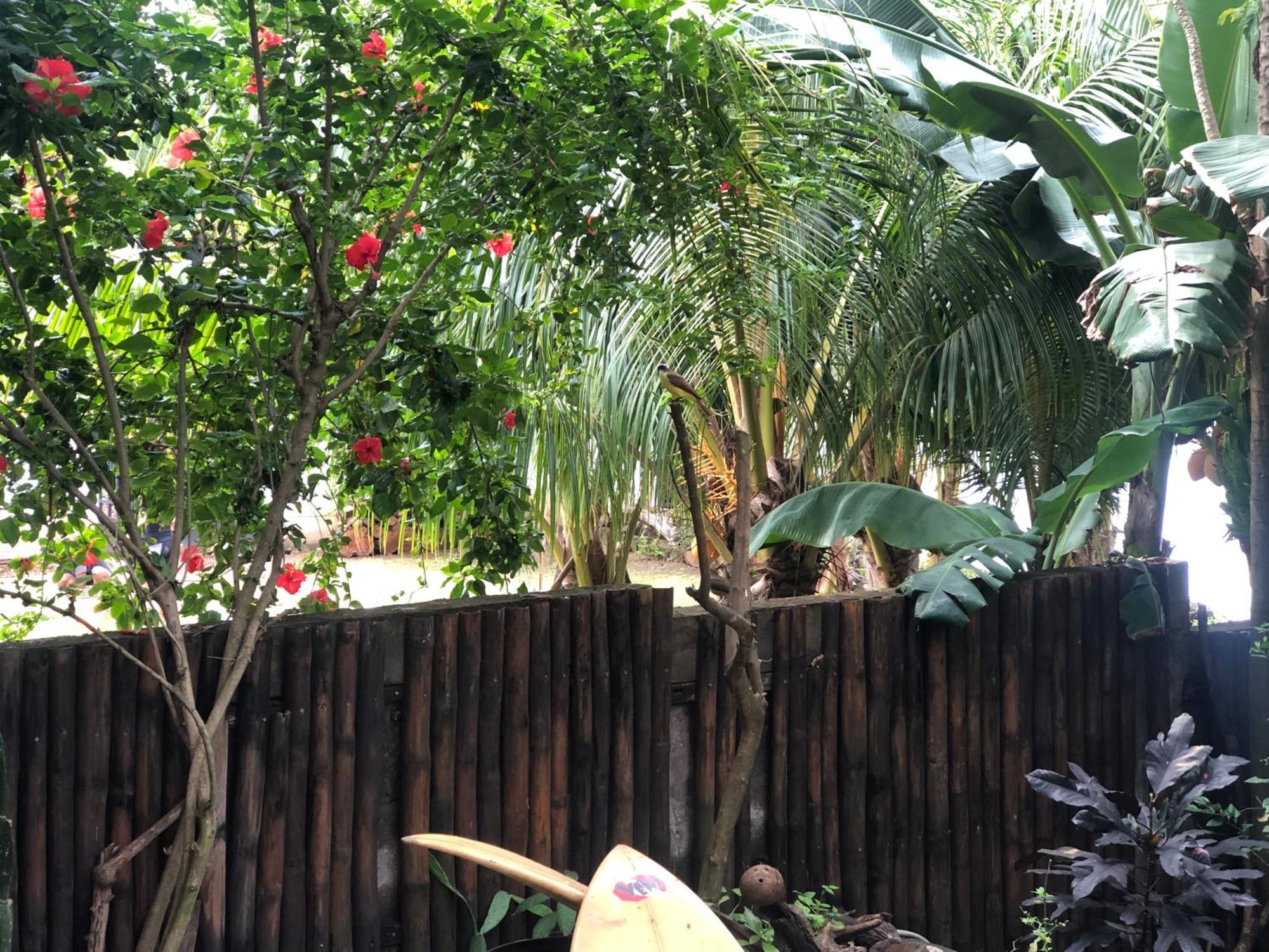 El Marabu Chill'N Surf Bed & Breakfast Aposentillo Bagian luar foto