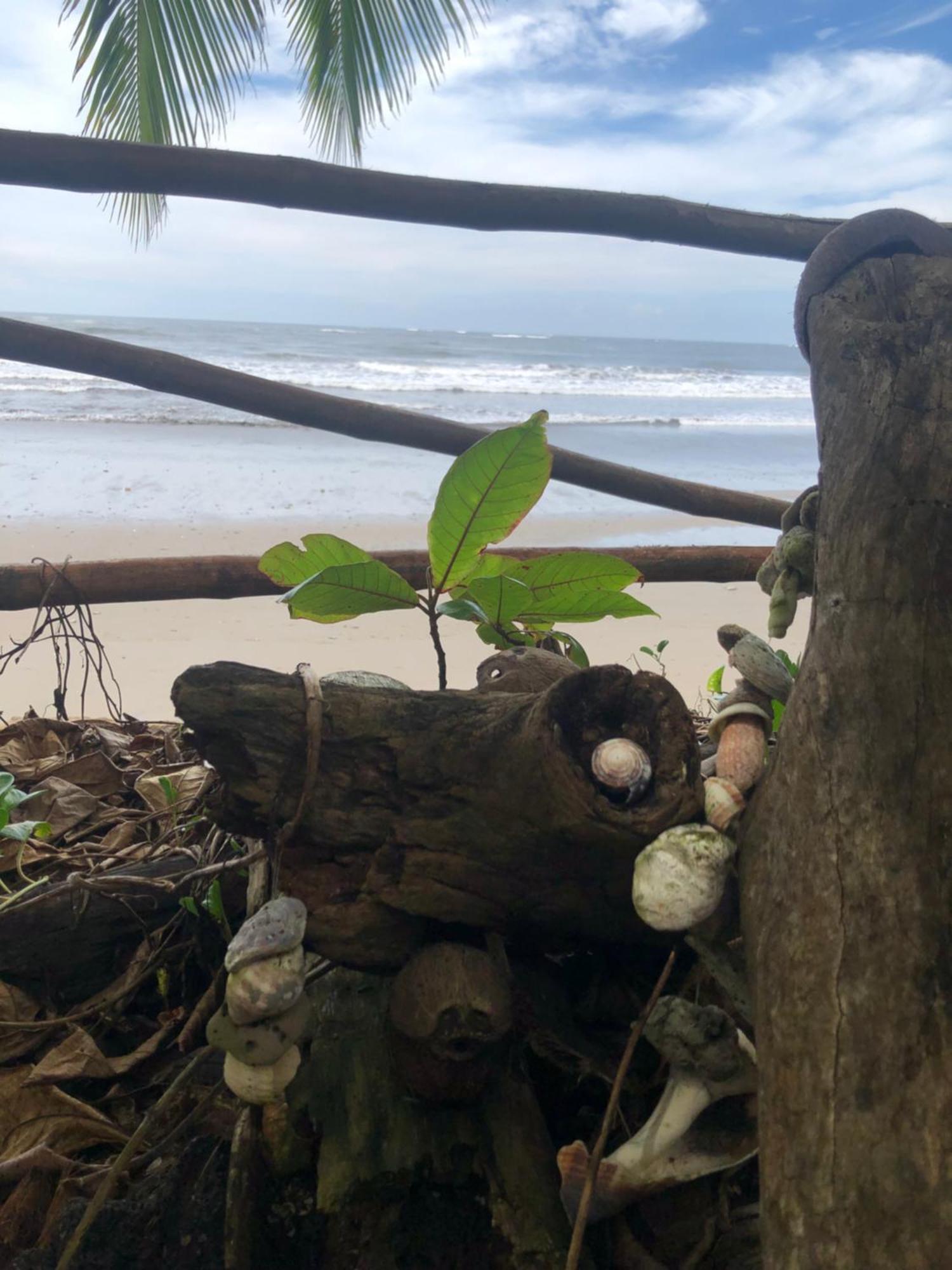 El Marabu Chill'N Surf Bed & Breakfast Aposentillo Bagian luar foto
