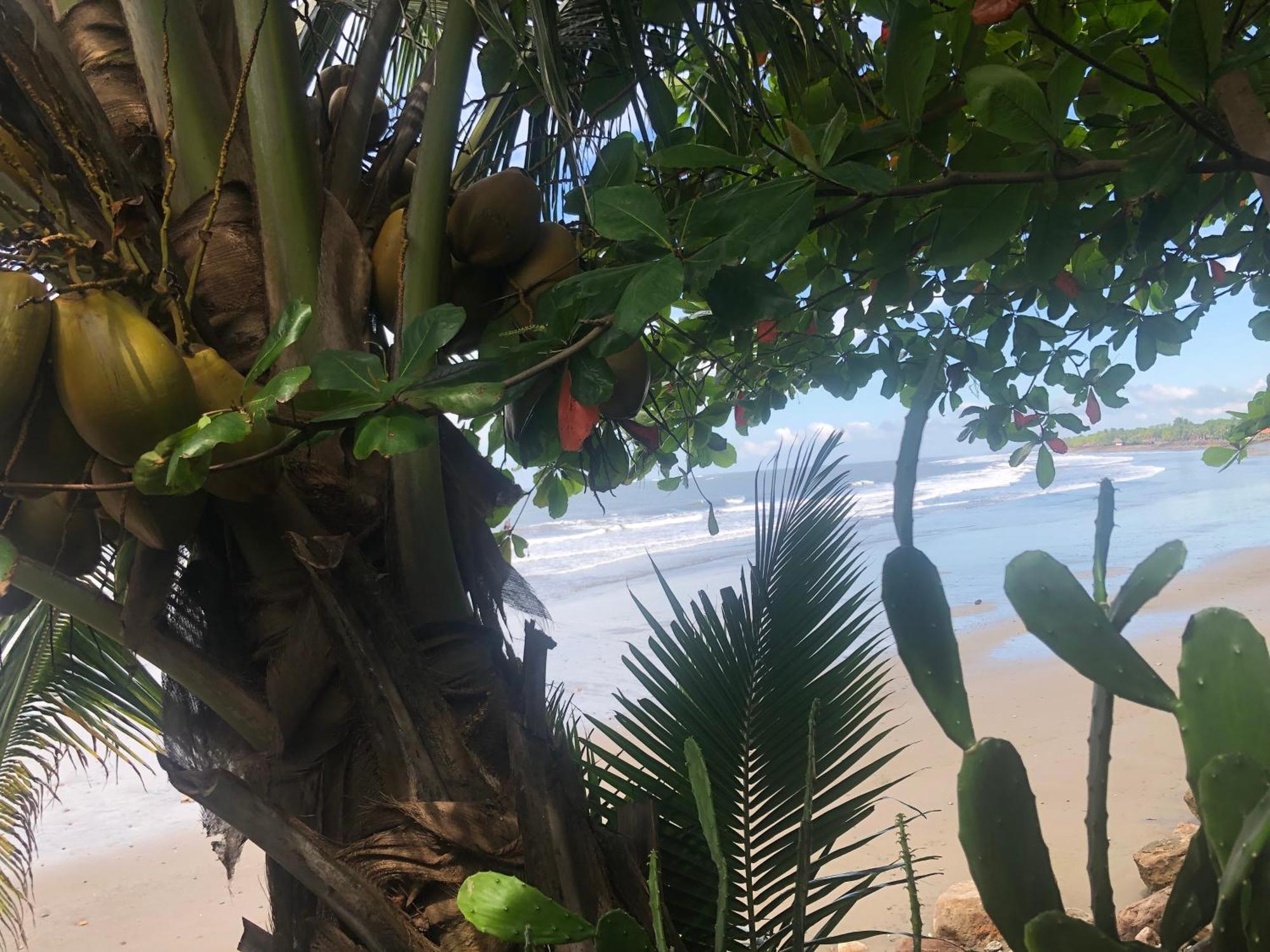 El Marabu Chill'N Surf Bed & Breakfast Aposentillo Bagian luar foto