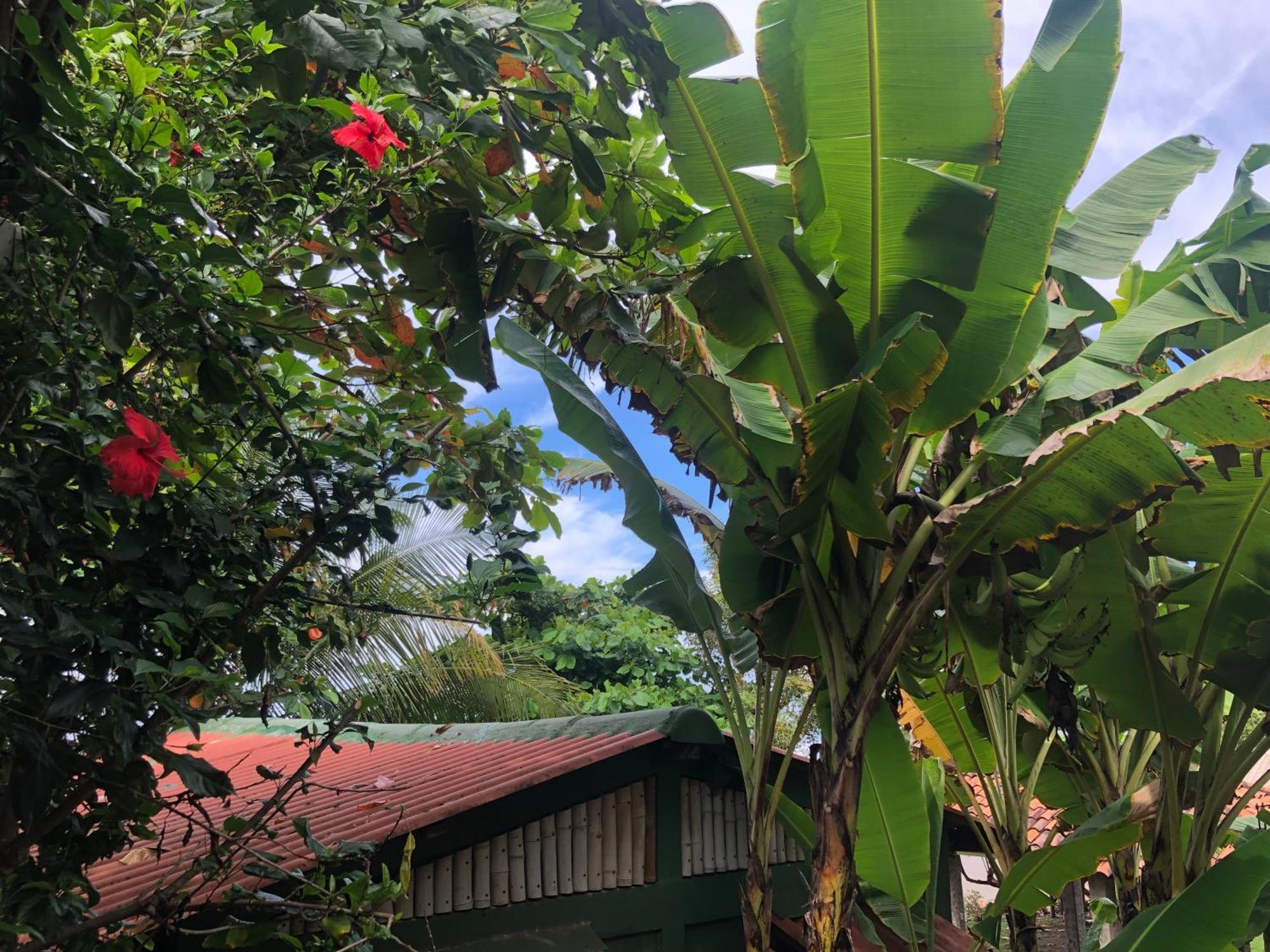 El Marabu Chill'N Surf Bed & Breakfast Aposentillo Bagian luar foto